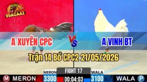 Xem trận 14 CPC2 21/5/2026 trên Vua Gà AZ