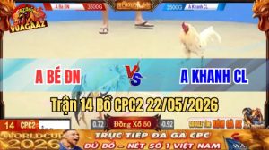 Xem trận 14 CPC2 22/5/2026 trên Vua Gà AZ