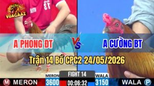 Xem trận 14 CPC2 24/5/2026 tại VUAGAAZ