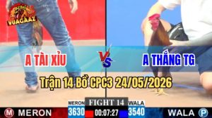 Xem trận 14 CPC3 24/5/2026 tại VUAGAAZ