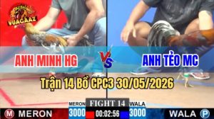 Xem trận 14 CPC3 30/5/2026 trên Vua Gà AZ