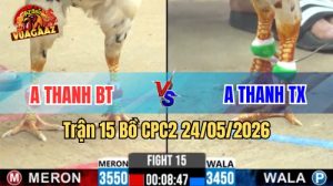 Xem trận 15 CPC2 24/5/2026 tại VUAGAAZ