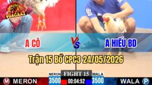 Xem trận 15 CPC3 24/5/2026 tại VUAGAAZ