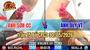 Xem trận 15 CPC3 30/5/2026 trên Vua Gà AZ