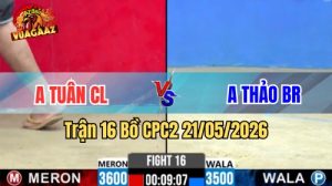 Xem trận 16 CPC2 21/5/2026 trên Vua Gà AZ