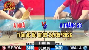 Xem trận 16 CPC2 24/5/2026 tại VUAGAAZ