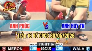 Xem trận 16 CPC3 30/5/2026 trên Vua Gà AZ