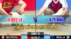 Xem trận 17 CPC2 21/5/2026 trên Vua Gà AZ