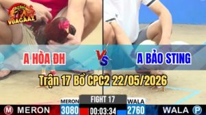Xem trận 17 CPC2 22/5/2026 trên Vua Gà AZ