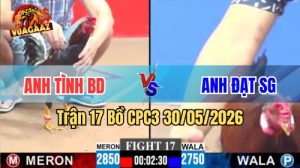 Xem trận 17 CPC3 30/5/2026 trên Vua Gà AZ