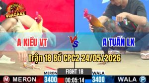 Xem trận 18 CPC2 24/5/2026 tại VUAGAAZ