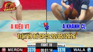 Xem trận 19 CPC2 22/5/2026 trên Vua Gà AZ