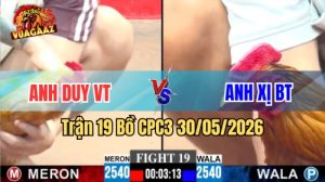 Xem trận 19 CPC3 30/5/2026 trên Vua Gà AZ