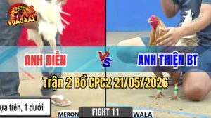 Xem trận 2 CPC2 21/5/2026 trên Vua Gà AZ