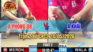 Xem trận 2 CPC2 24/5/2026 tại VUAGAAZ