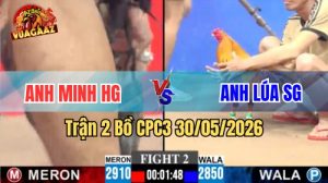 Xem trận 2 CPC3 30/5/2026 trên Vua Gà AZ