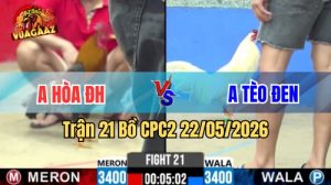 Xem trận 21 CPC2 22/5/2026 trên Vua Gà AZ