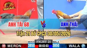 Xem trận 21 CPC3 30/5/2026 trên Vua Gà AZ