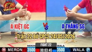 Xem trận 22 CPC2 24/5/2026 tại VUAGAAZ