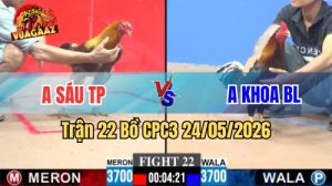 Xem trận 22 CPC3 24/5/2026 tại VUAGAAZ