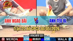 Xem trận 22 CPC3 30/5/2026 trên Vua Gà AZ