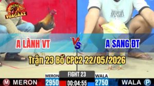 Xem trận 23 CPC2 22/5/2026 trên Vua Gà AZ