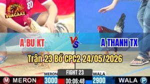 Xem trận 23 CPC2 24/5/2026 tại VUAGAAZ