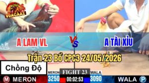 Xem trận 23 CPC3 24/5/2026 tại VUAGAAZ