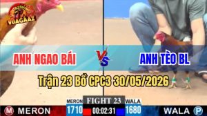 Xem trận 23 CPC3 30/5/2026 trên Vua Gà AZ