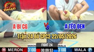 Xem trận 24 CPC2 22/5/2026 trên Vua Gà AZ