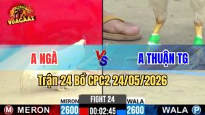 Xem trận 24 CPC2 24/5/2026 tại VUAGAAZ