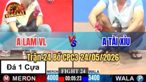 Xem trận 24 CPC3 24/5/2026 tại VUAGAAZ