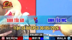 Xem trận 24 CPC3 30/5/2026 trên Vua Gà AZ