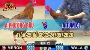 Xem trận 25 CPC2 24/5/2026 tại VUAGAAZ