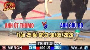 Xem trận 25 CPC3 30/5/2026 trên Vua Gà AZ