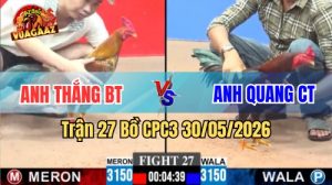 Xem trận 27 CPC3 30/5/2026 trên Vua Gà AZ