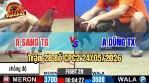 Xem trận 28 CPC2 24/5/2026 tại VUAGAAZ