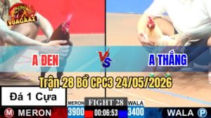 Xem trận 28 CPC3 24/5/2026 tại VUAGAAZ
