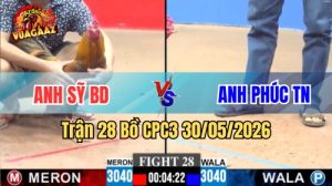 Xem trận 28 CPC3 30/5/2026 trên Vua Gà AZ