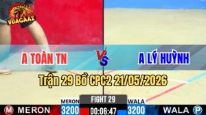 Xem trận 29 CPC2 21/5/2026 trên Vua Gà AZ hôm nay