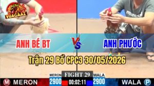 Xem trận 29 CPC3 30/5/2026 trên Vua Gà AZ