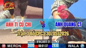 Xem trận 3 CPC3 30/5/2026 trên Vua Gà AZ