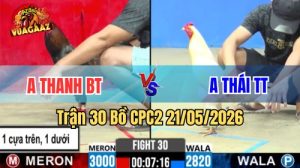 Xem trận 30 CPC2 21/5/2026 trên Vua Gà AZ