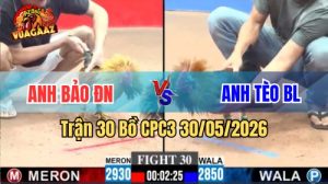 Xem trận 30 CPC3 30/5/2026 trên Vua Gà AZ