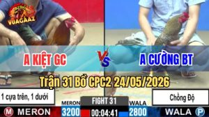 Xem trận 31 CPC2 24/5/2026 tại VUAGAAZ