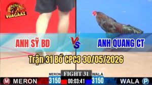 Xem trận 31 CPC3 30/5/2026 trên Vua Gà AZ