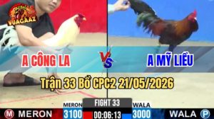 Xem trận 33 CPC2 21/5/2026 trên Vua Gà AZ