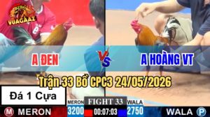 Xem trận 33 CPC3 24/5/2026 tại VUAGAAZ