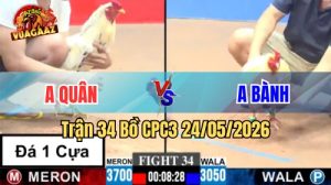 Xem trận 34 CPC3 24/5/2026 tại VUAGAAZ