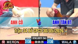 Xem trận 34 CPC3 30/5/2026 trên Vua Gà AZ